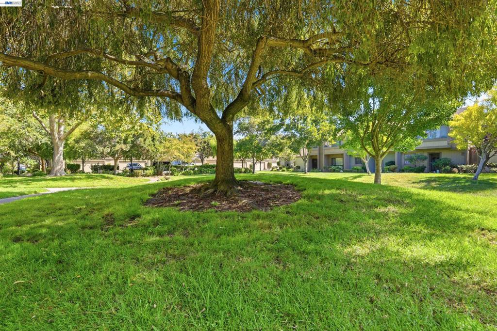 3349 Solomon Lane Property Photo 29