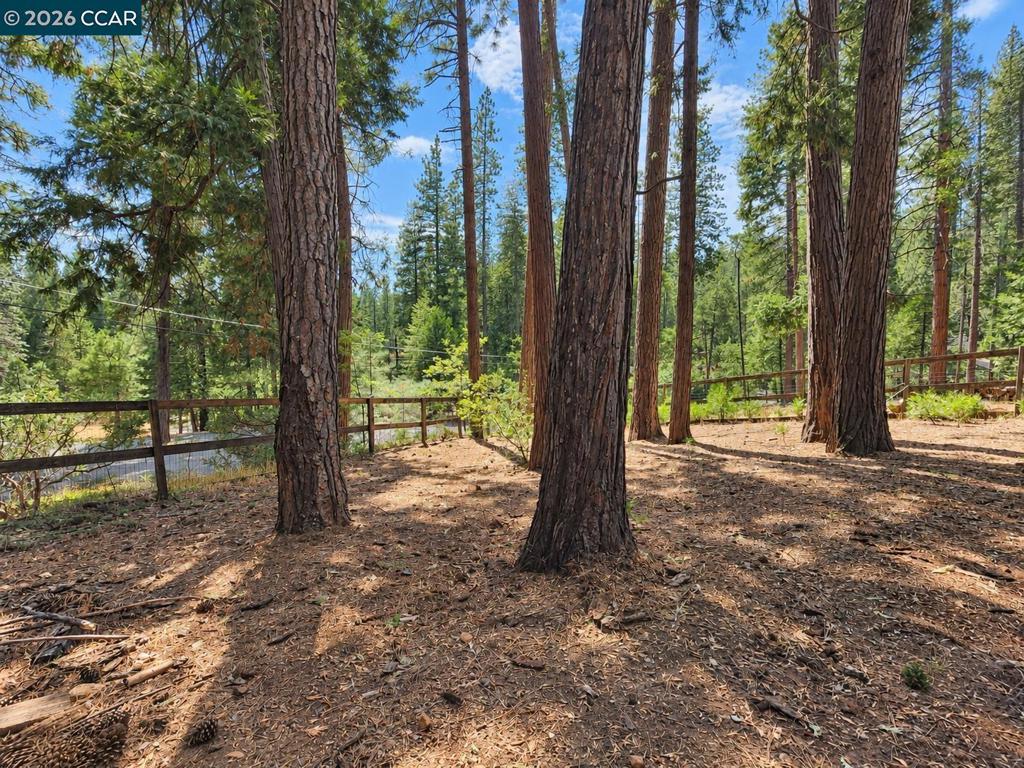 2346 Black Oak Dr Property Photo 31