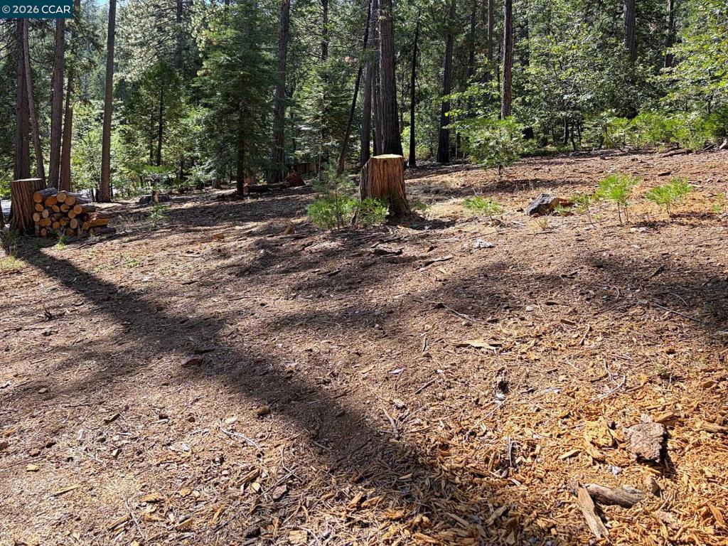 2346 Black Oak Dr Property Photo 32