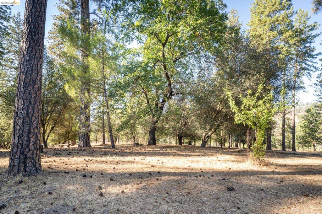 19390 Ferretti Rd Property Photo 10