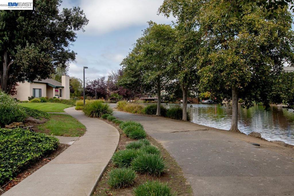 114 Lagunaria Ln Property Photo 51