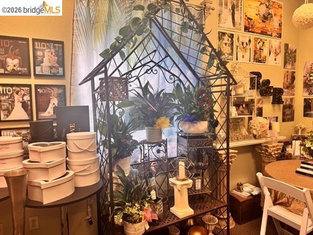 151 Chestnut Property Photo 24