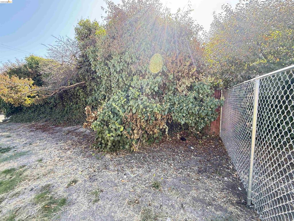 Olive St Property Photo 4