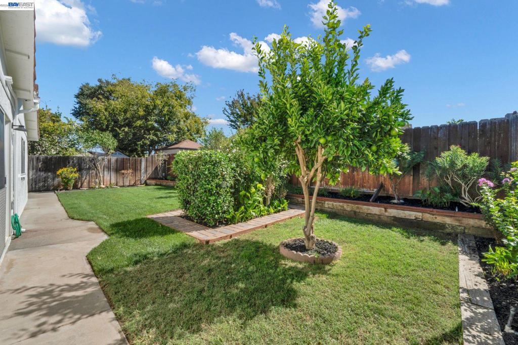 443 Colusa Way Property Photo 26
