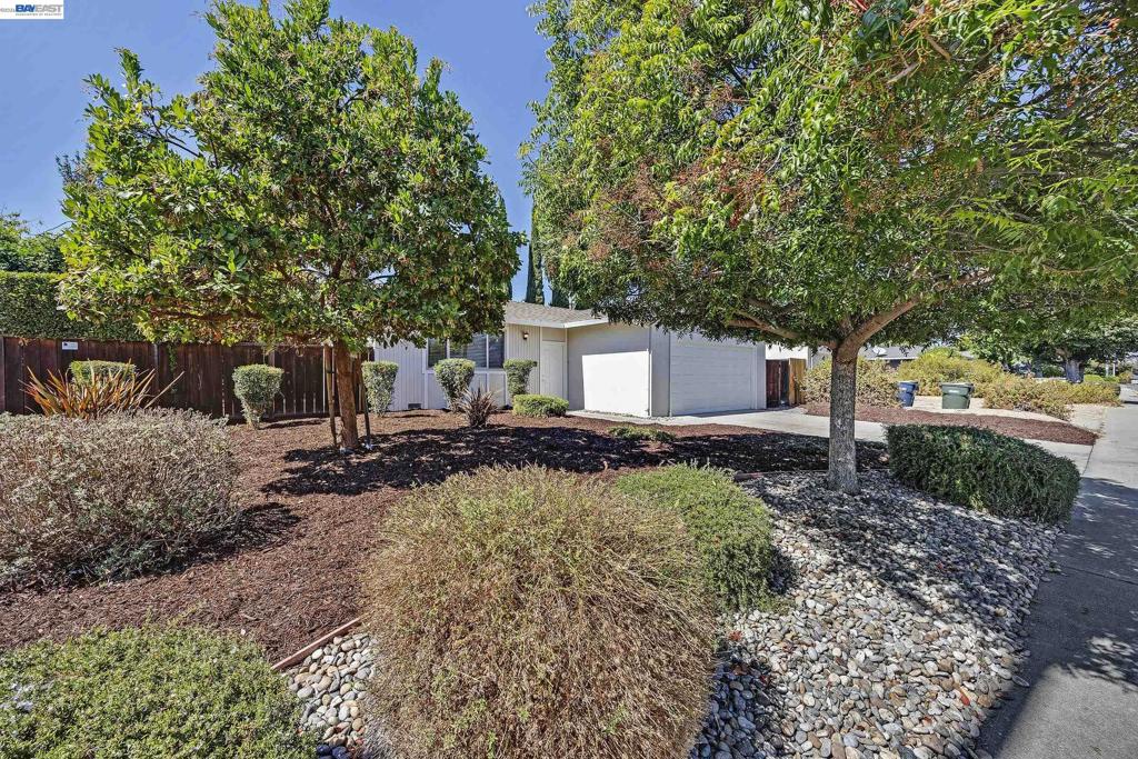 319 Elvira Property Photo 2