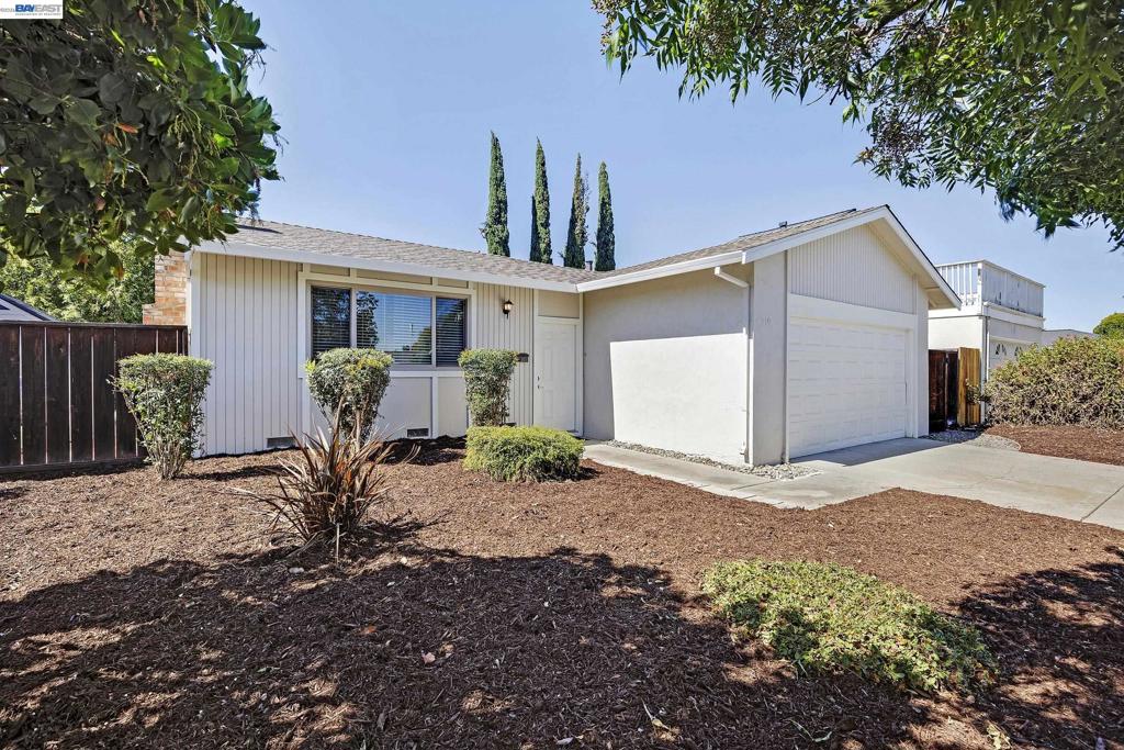 319 Elvira Property Photo 4