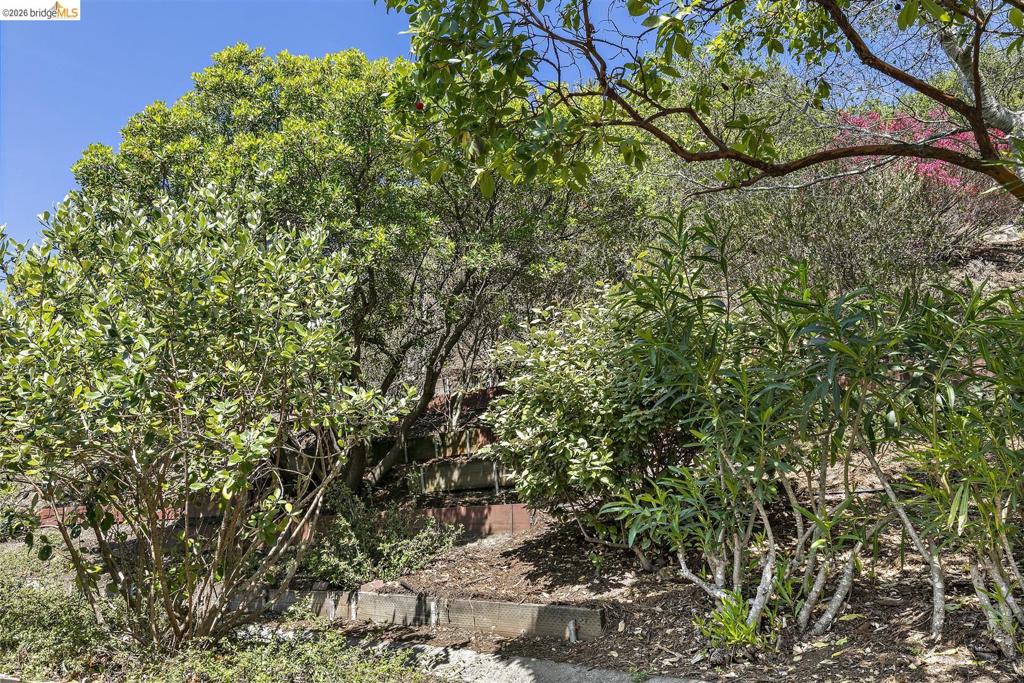 25 Captains Cv Property Photo 24