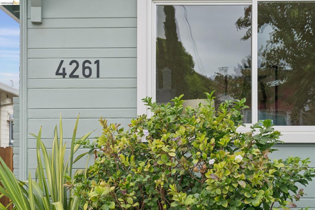 4261 Suter Street Property Photo 6