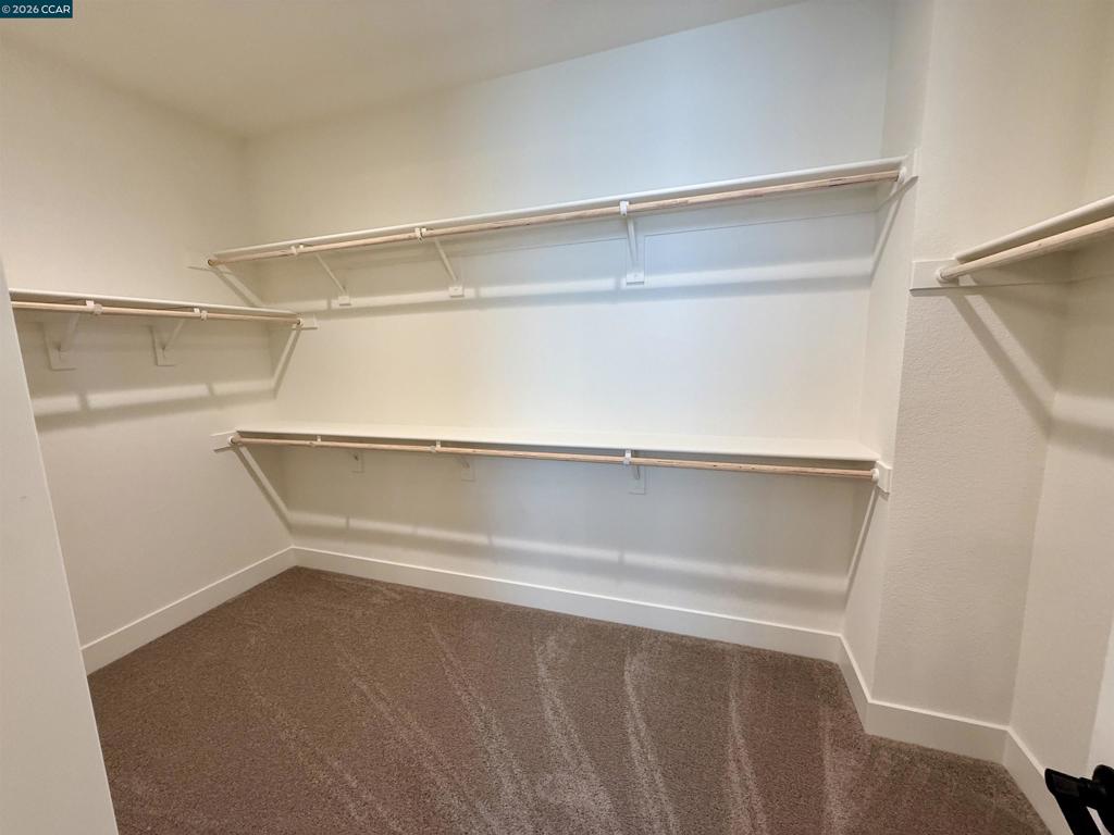 17369 Bushwick Lane Property Photo 12