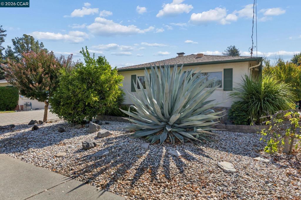 3926 Beechwood Dr Property Photo 3