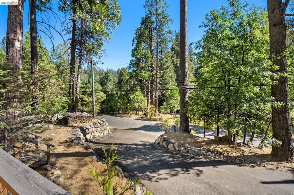 25972 Long Barn Road Property Photo 26