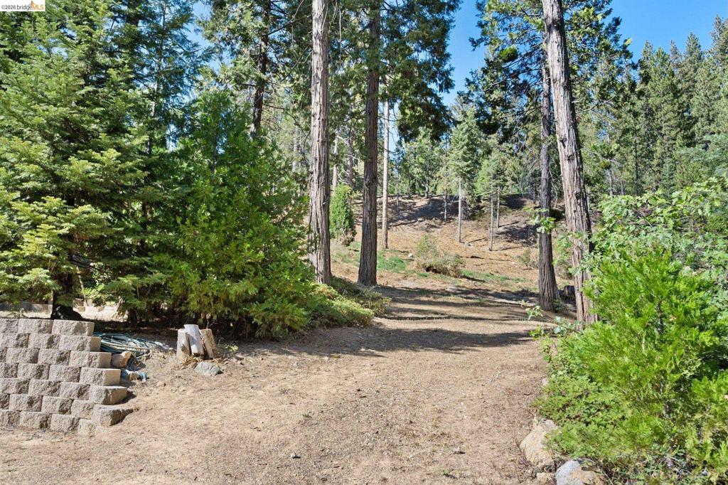 25972 Long Barn Road Property Photo 34