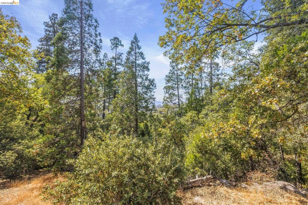 22420 Colorado River Property Photo 51