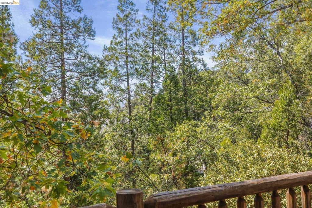 22420 Colorado River Property Photo 52