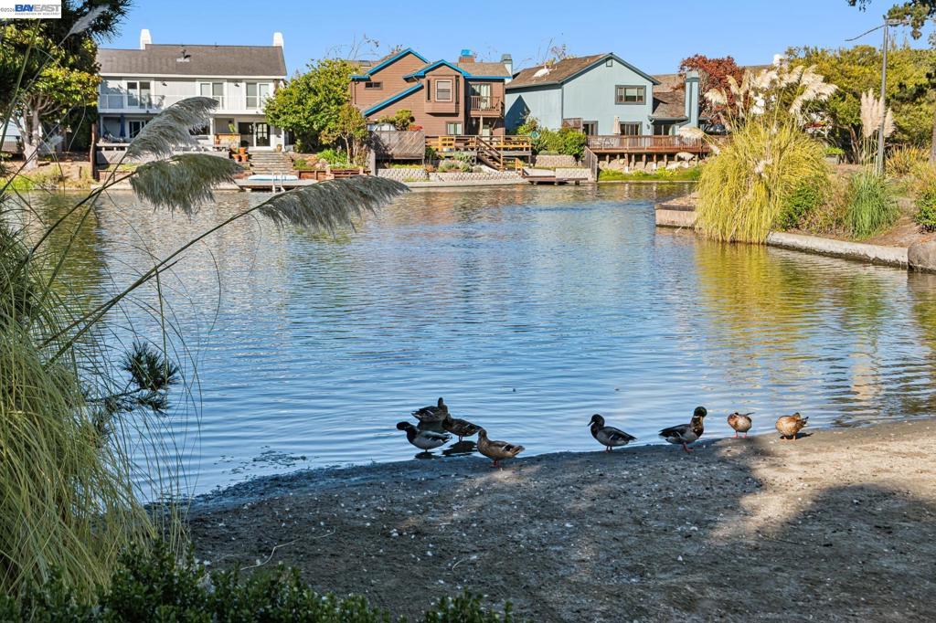 169 Diapian Bay Property Photo 1