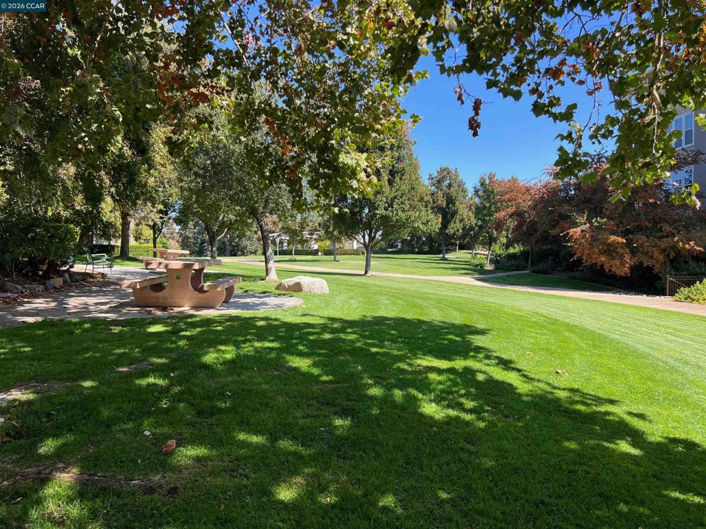 1315 Alma Ave Apt 451 Property Photo 24