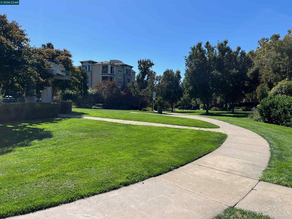 1315 Alma Ave Apt 451 Property Photo 25