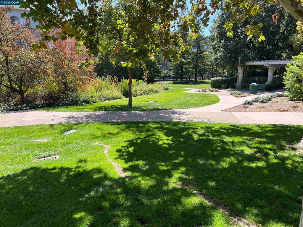 1315 Alma Ave Apt 451 Property Photo 26