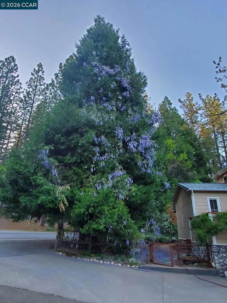 33800 Alta Bonnynook Rd Property Photo 23