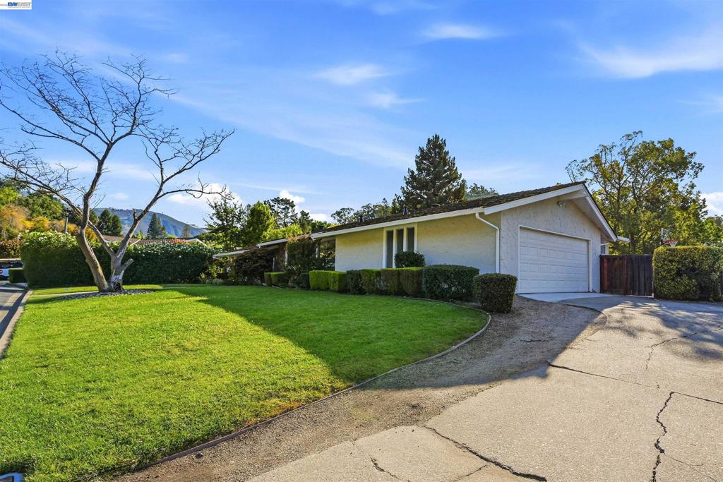 11 Ray Court Property Photo 3
