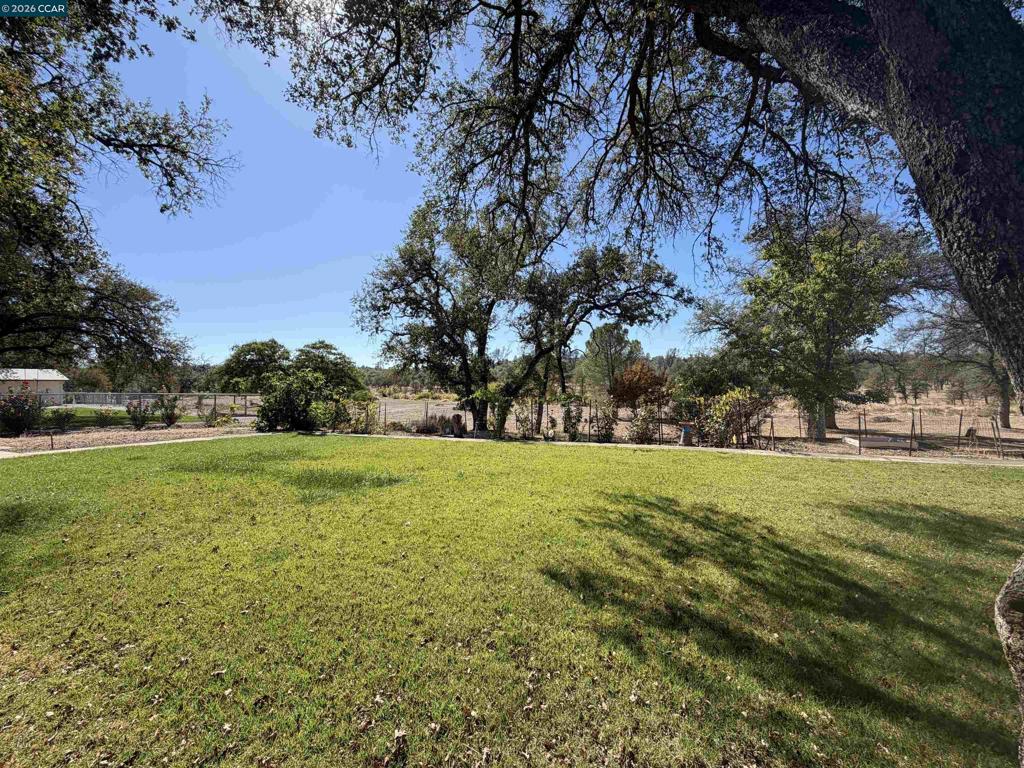 12232 Dry Creek Rd Property Photo 18