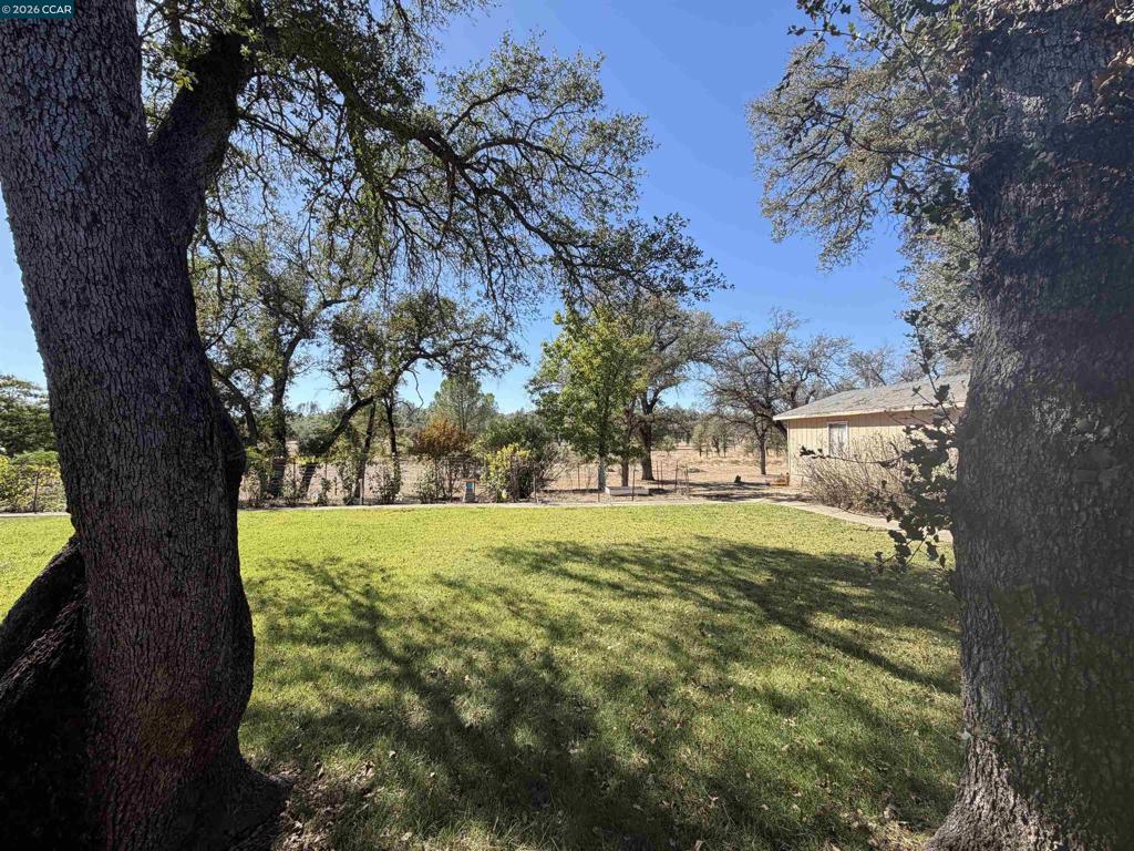 12232 Dry Creek Rd Property Photo 19