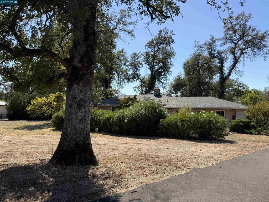 12232 Dry Creek Rd Property Photo 20