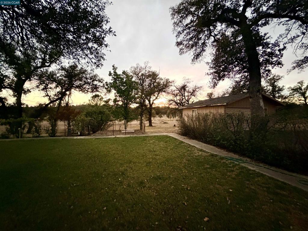 12232 Dry Creek Rd Property Photo 23