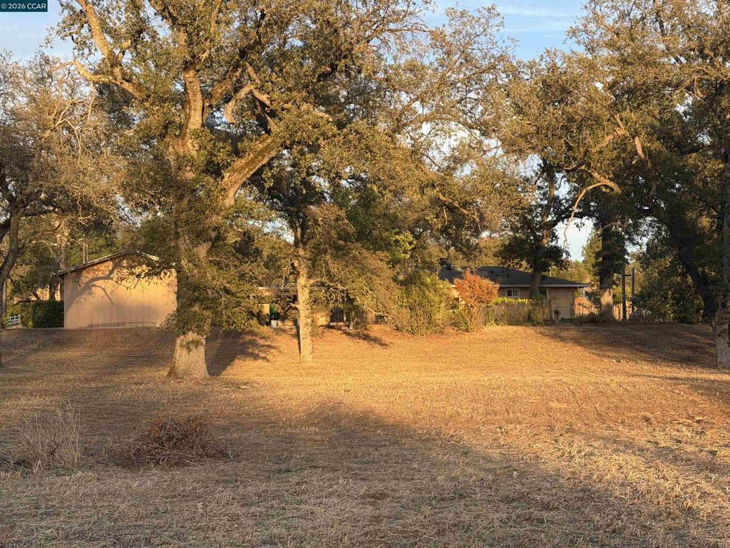 12232 Dry Creek Rd Property Photo 25