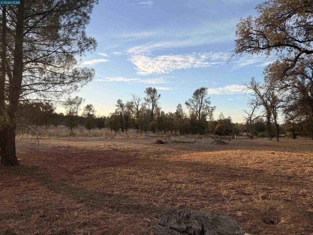 12232 Dry Creek Rd Property Photo 26