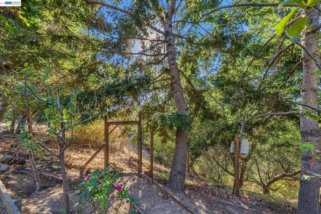 5624 Greenridge Rd Property Photo 90