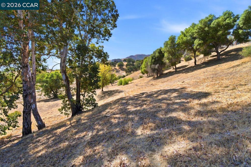 6973 Pleasants Valley Rd Property Photo 31