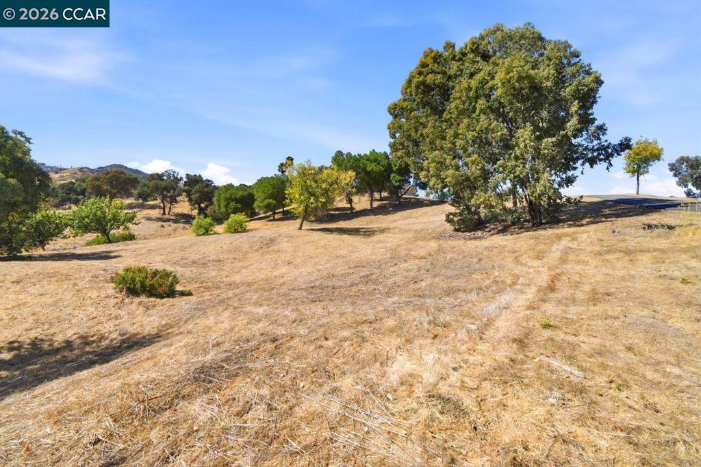 6973 Pleasants Valley Rd Property Photo 32