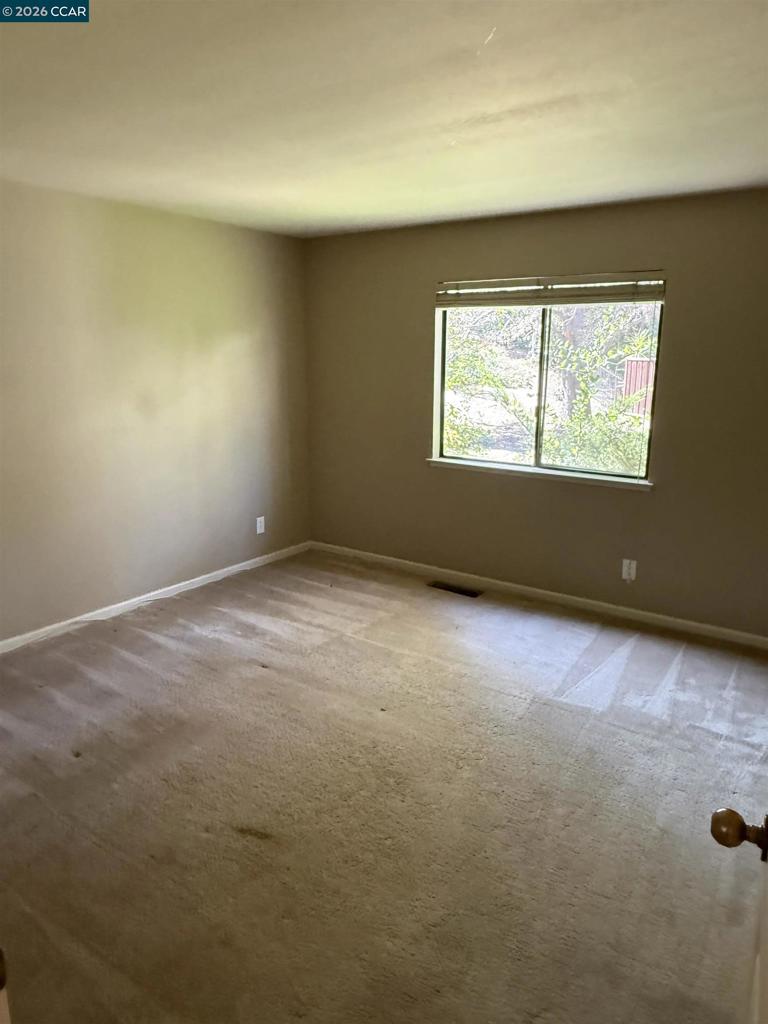 37 Liquidamber Ct Property Photo 11