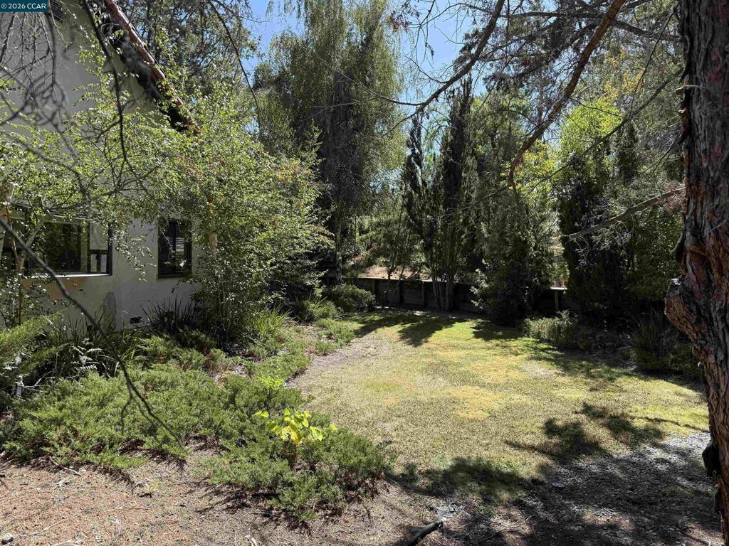 37 Liquidamber Ct Property Photo 21