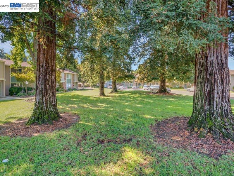 1289 Pine Creek Way D Property Photo 2