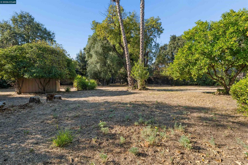 51 Bradley Ave Property Photo 49