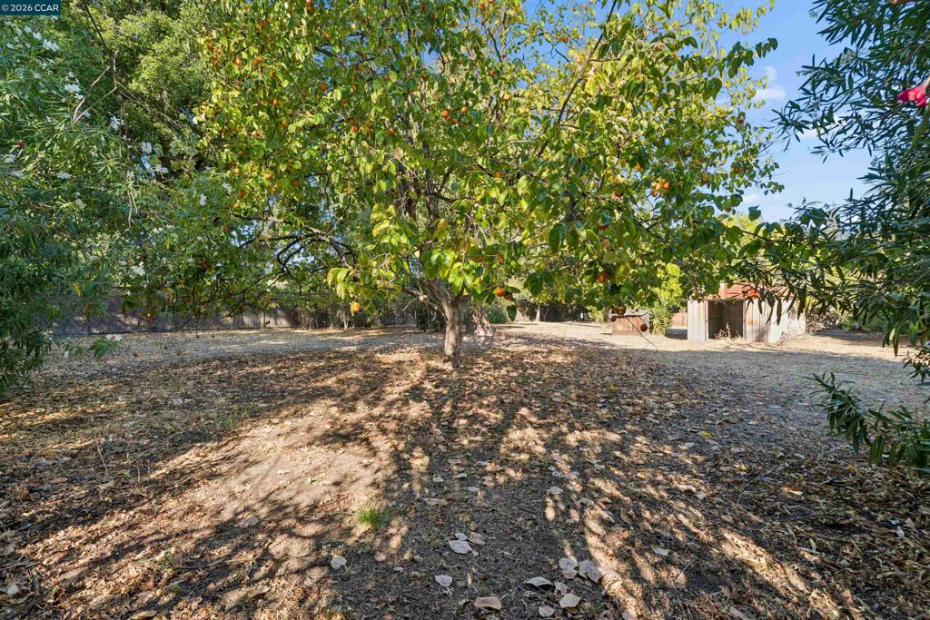 51 Bradley Ave Property Photo 50