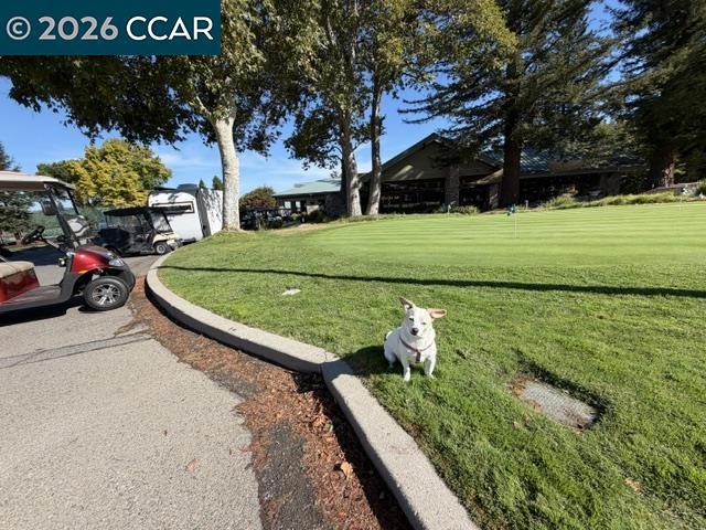 1116 Running Springs Rd 7 Property Photo 20
