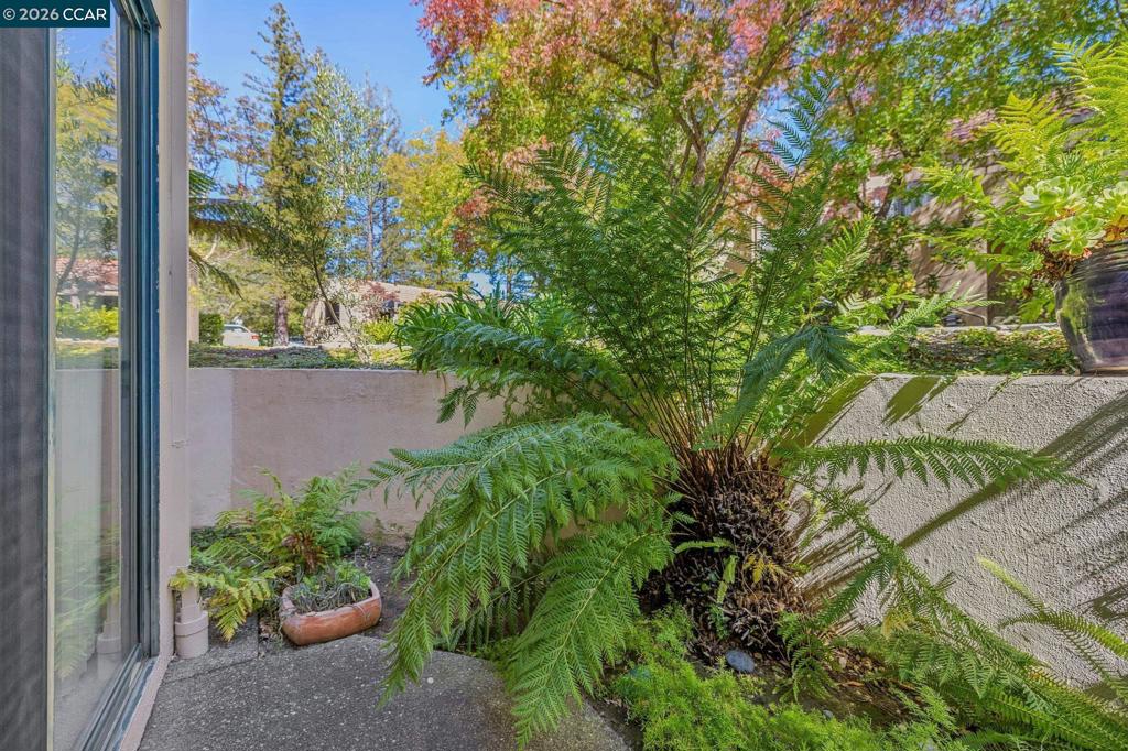 1614 Stanley Dollar Dr 1a Property Photo 74