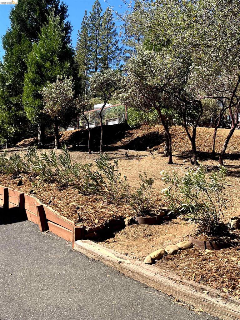 19991 Pine Mountain Dr. Property Photo 46