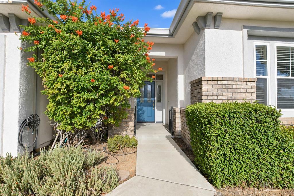 1587 Regent Dr Property Photo 3
