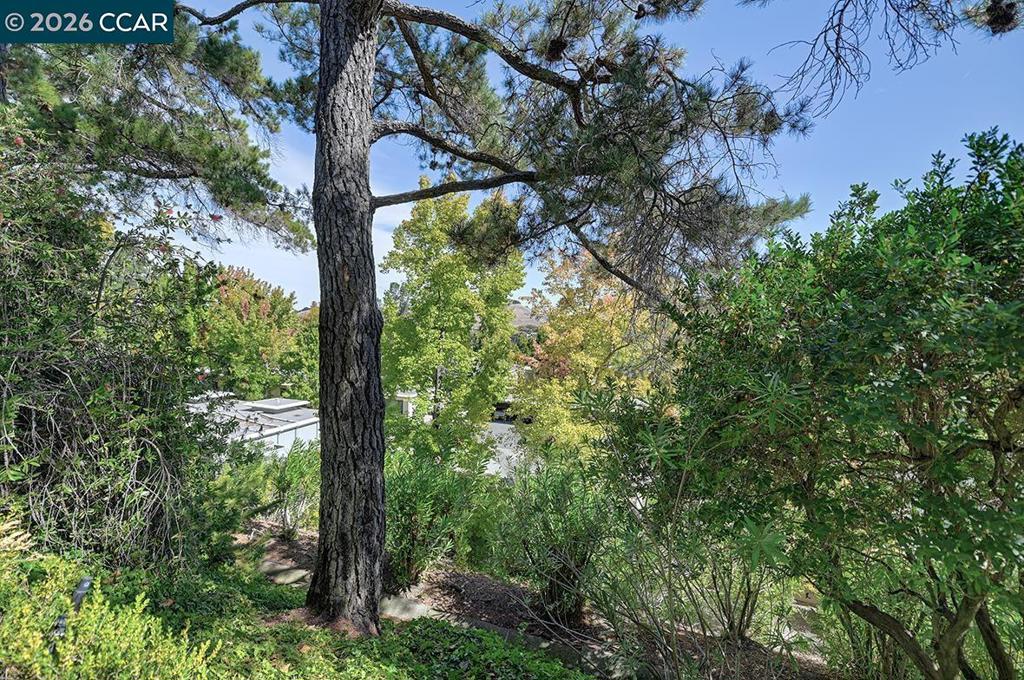 1300 Running Springs Rd 6 Property Photo 18