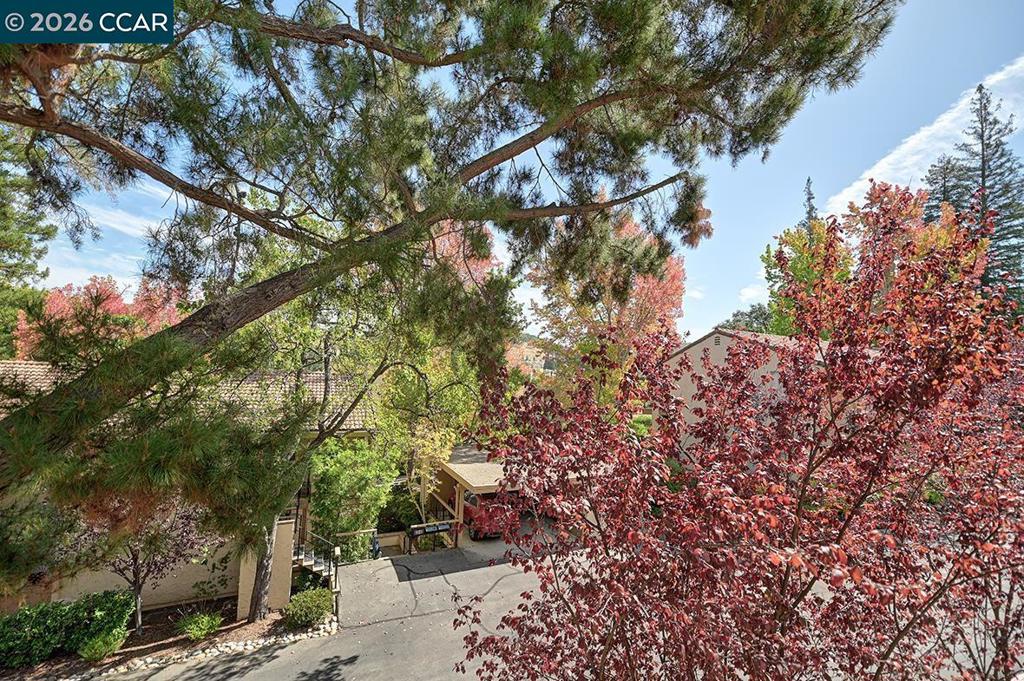 1129 Avenida Sevilla 7b Property Photo 17