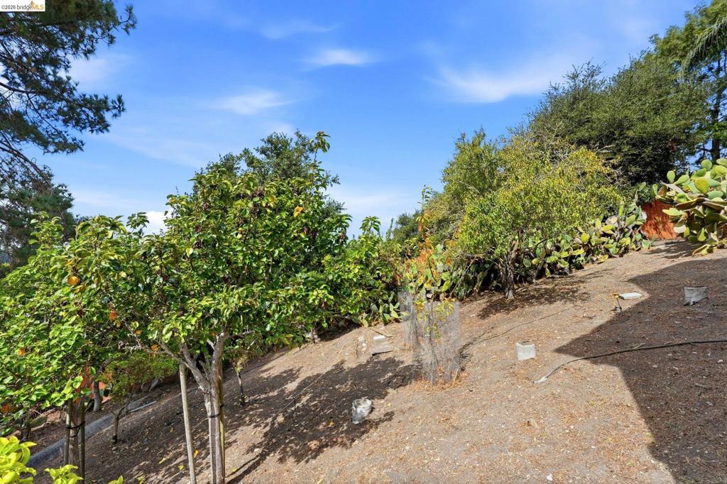 2008 Thompson Ln Property Photo 17