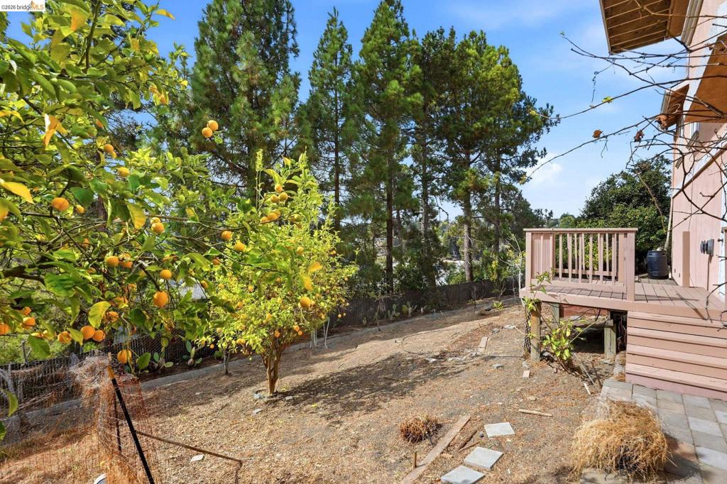 2008 Thompson Ln Property Photo 19