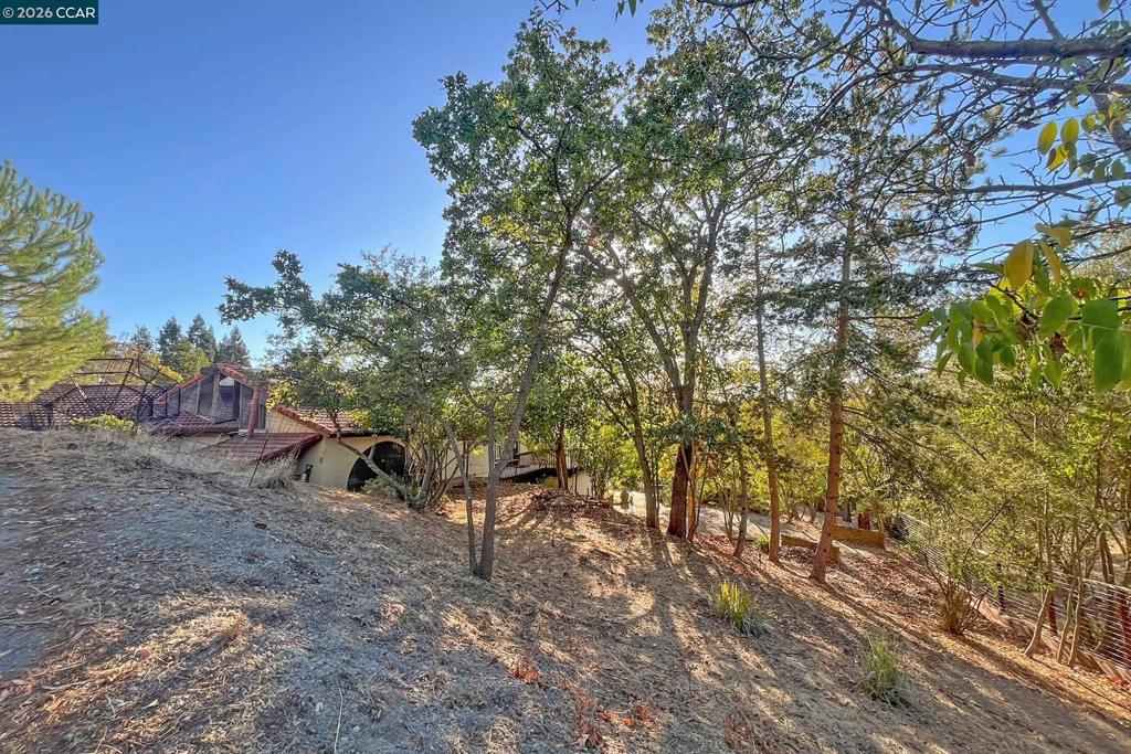 337 Livorna Heights Rd Property Photo 39