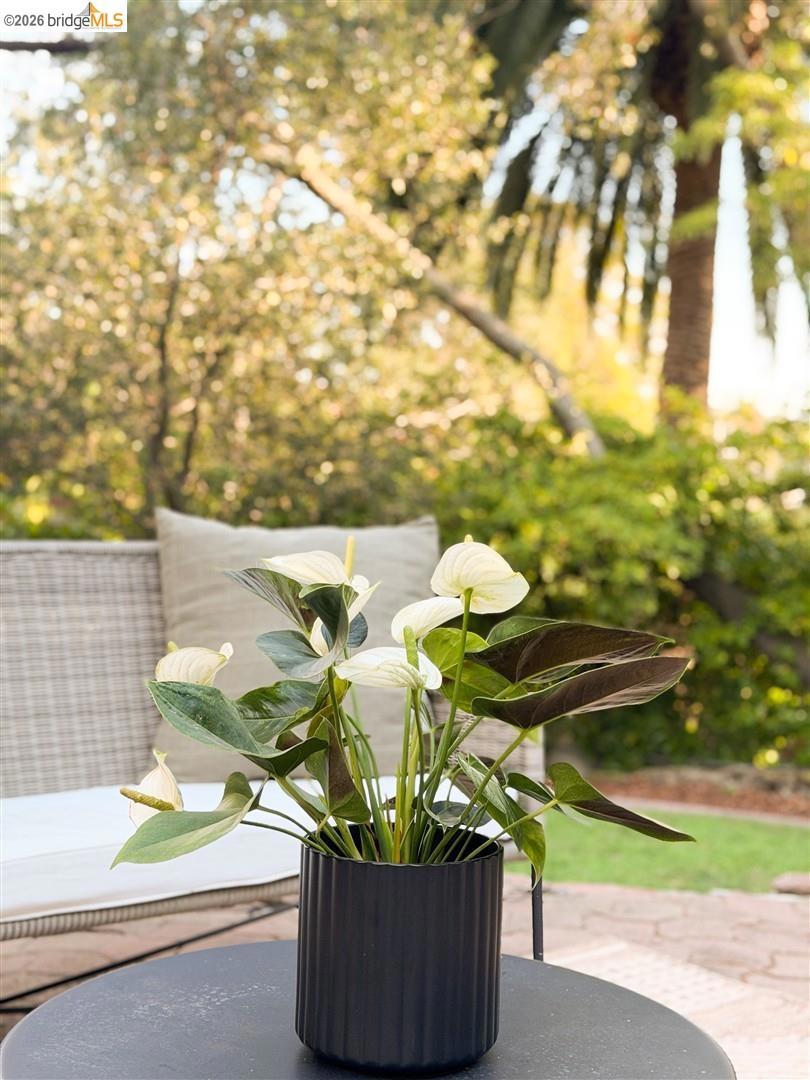 3842 Enos Ave Property Photo 43