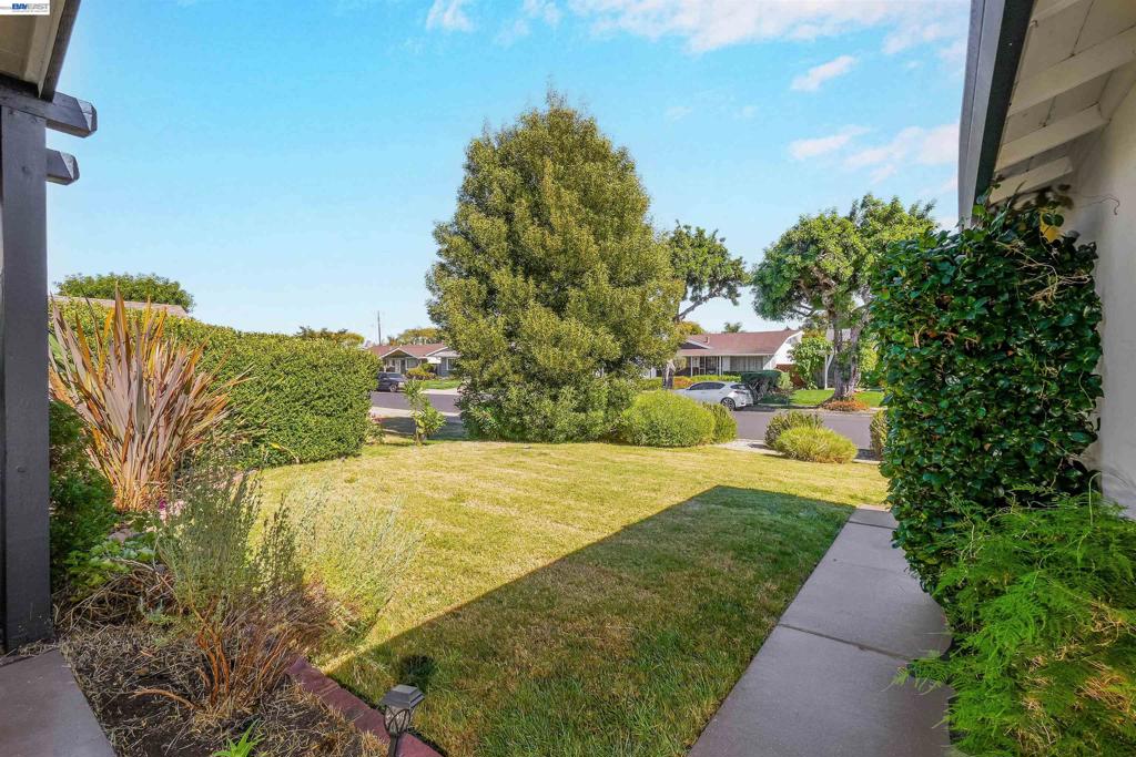 25825 Belhaven St Property Photo 11