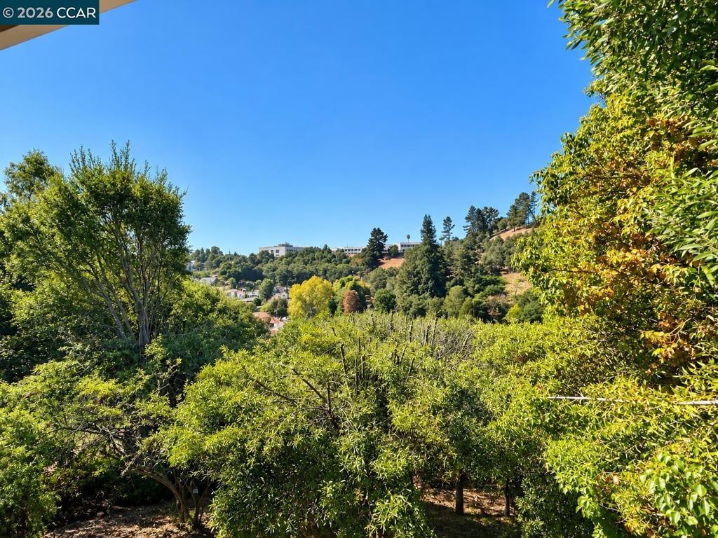 9421 Castlewood Street Property Photo 30